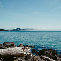 报复骗子轰炸神器