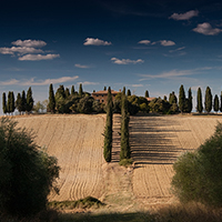 在线手机号呼死你